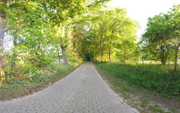 istock panoramic Environment freshness at village with clouds and natural elements around 1227133290