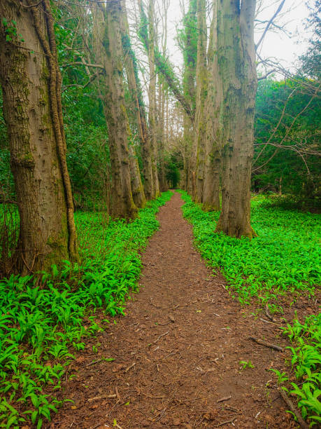 istock Outdoor photography. 1227135374