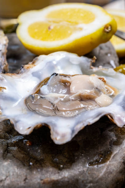 fresco zeeuwse creuse pacífico ou moluscos de ostras japonesas no mercado de peixes na holanda - crassostrea - fotografias e filmes do acervo