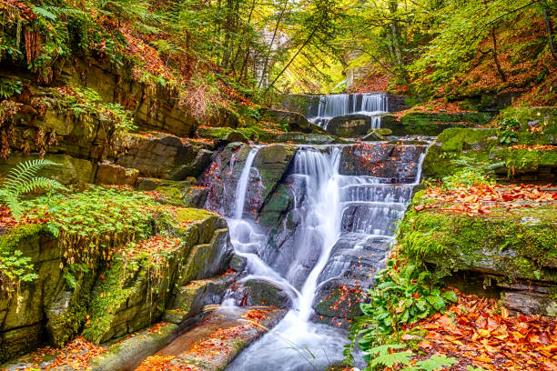 istock Natural Rapids of a Waterfall in an Autumn Forest 1227139100