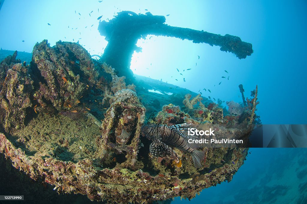 Gun on a the stern of large shipwreck Anti-aircraft gun mounted on the stern deck of a large underwater shipwreck Anti-Aircraft Stock Photo