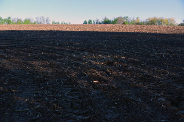 istock farm field in the early morning 1227140737