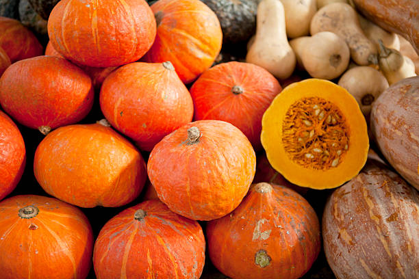 A pile of pumpkins in a truck.
