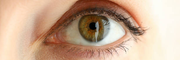 istock Female left orange green coloured amazing eye 1227146332