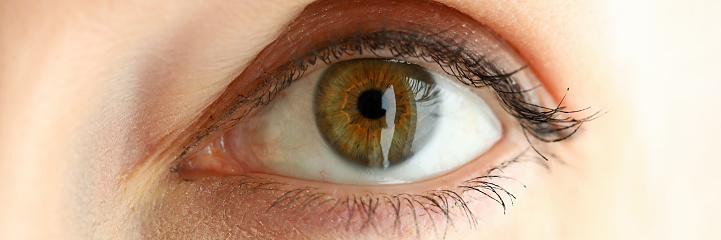 Female left orange green coloured amazing eye close-up