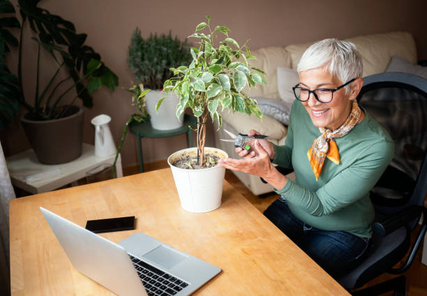 istock Mature woman working indoors at home 1227146516
