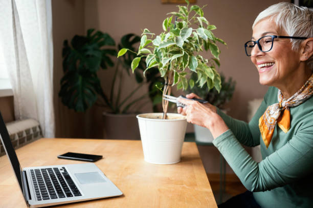 istock Mature woman working indoors at home 1227146659