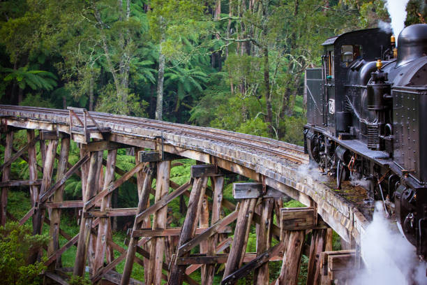 puffing billy train in melbourne australia - australia people antique old fashioned foto e immagini stock