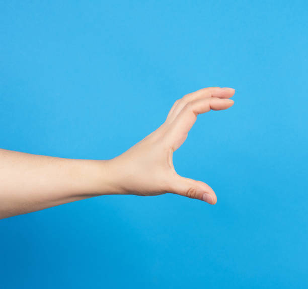 istock female hand holds a conditional subject on a blue background 1227152137
