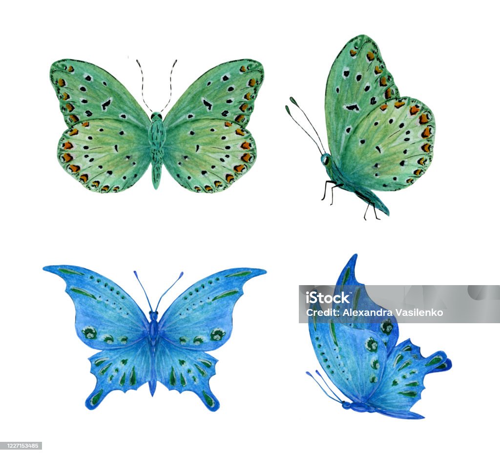 Clipart Màu Nước Của Những Con Bướm Màu Xanh Và Xanh Lá Cây Với ...