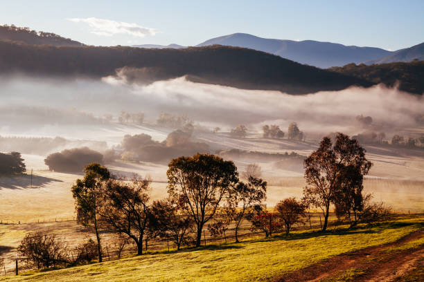 istock Winter Vines in Yarra Valley Australia 1227154321
