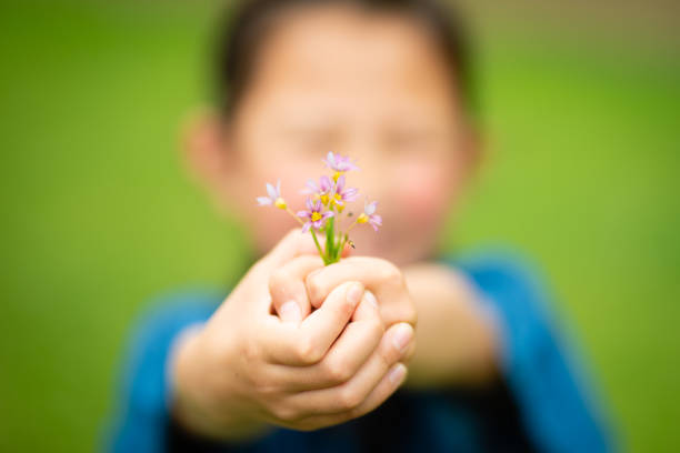 istock Child holding a small flowers 1227157441