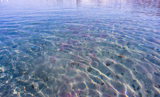 alghero pink sand - harbor island imagens e fotografias de stock