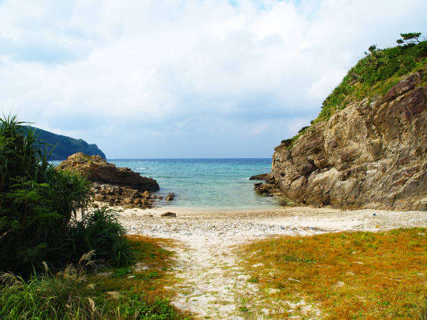 istock Autumn scenery in Okinawa 1227167139