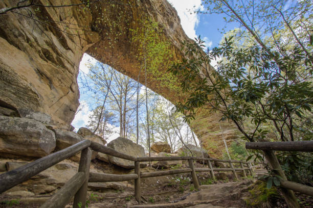 arco di pietra al natural bridge state park in kentucky - natural bridge state park foto e immagini stock
