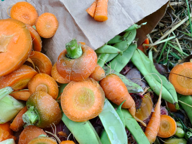 istock Vegetable food waste and grass clippings compost in a backyard bin 1227169191