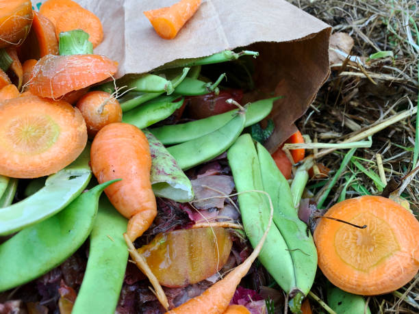 istock Vegetable food waste and grass clippings compost in a backyard bin 1227169218