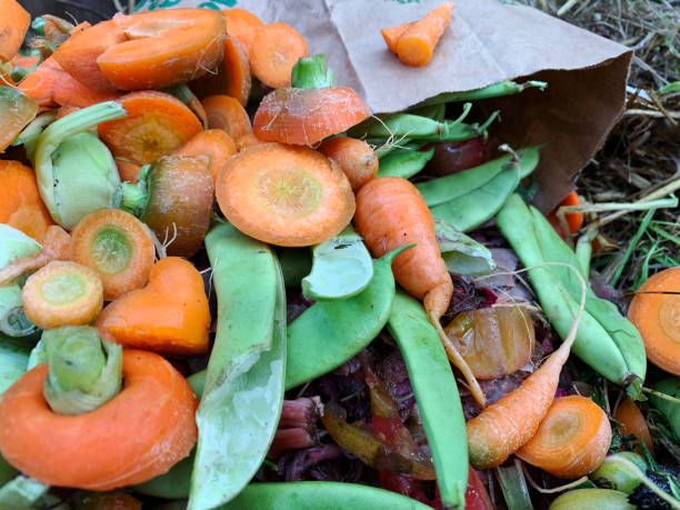 istock Vegetable food waste and grass clippings compost in a backyard bin 1227169224