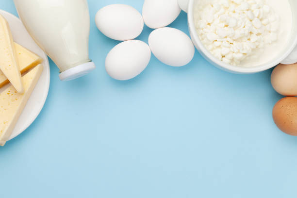 istock Dairy products, milk, cottage, cheese and eggs 1227170662