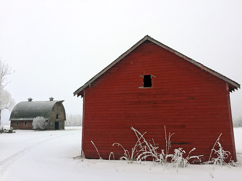 A lonely red granary and barn await spring in an empty farmer's field on a cold and frosty winter day in rural Parkland County, Alberta, about 10 minutes southwest of Edmonton.