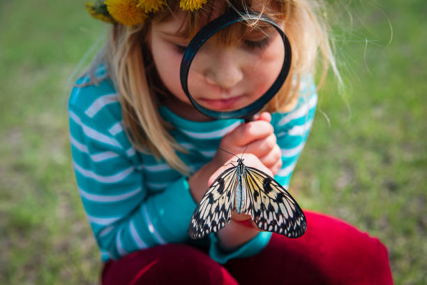 istock girl looking at butterfly, kids learning nature 1227172357