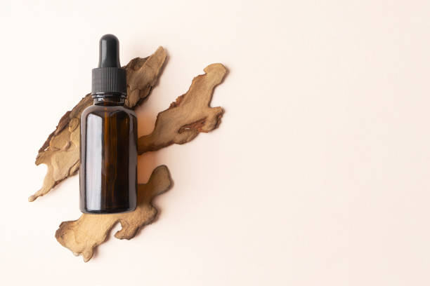 Serum bottle from brown glass with pipette on pine bark on beige background with copy space. Concept bio organic beauty product with natural extract flat lay. Eco cosmetic skincare and body care Serum bottle from brown glass with pipette on pine bark on beige background with copy space. Concept bio organic beauty product with natural extract flat lay. Eco cosmetic skincare and body care tincture photos stock pictures, royalty-free photos & images