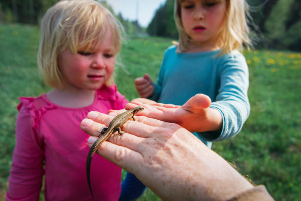 istock kids learning - kids looking at and exploring lizard in nature 1227172935