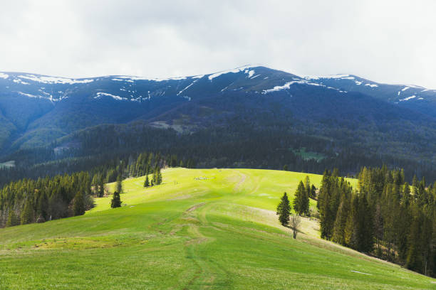 istock Colorful springtime on the mountain hills 1227174129