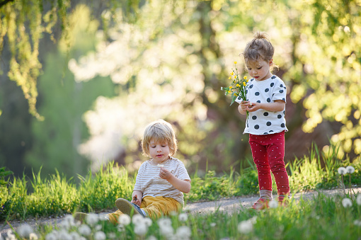 Two cute little sisters having fun while sitting on the grass on a sunny summer day