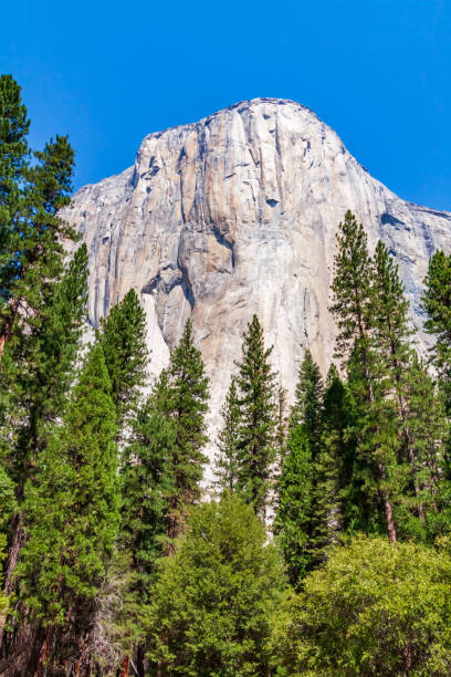 istock View of El Capitan From Below 1227180333