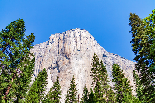 The majestic El Capitan against a clear blue sky in Yosemite National Park