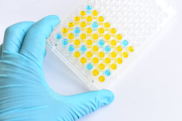 istock Enzyme-linked immunosorbent assay or ELISA plate 1227183092