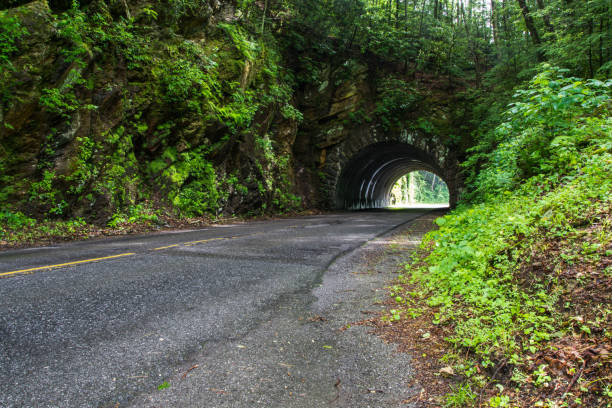 извилистая горная дорога с туннелем �в национальном парке грейт-смоки-маунтинс - gatlinburg road winding road tennessee стоковые фото и изображения