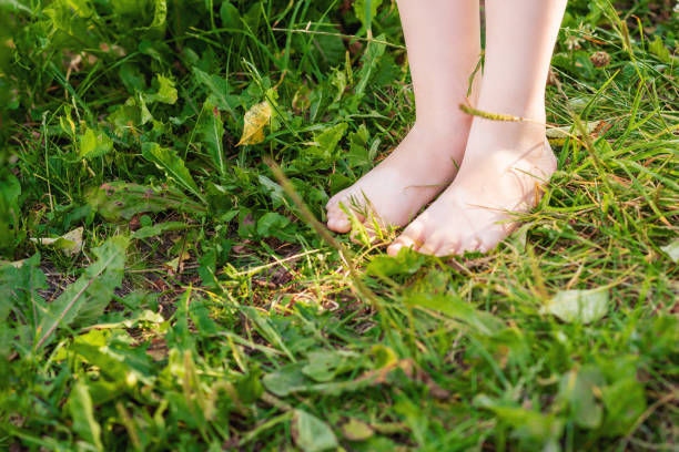 istock Barefoot of child standing on green grass. 1227185260