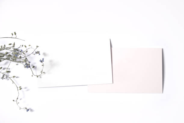 istock Card copy space template with tiny blue flowers on a white background 1227188309