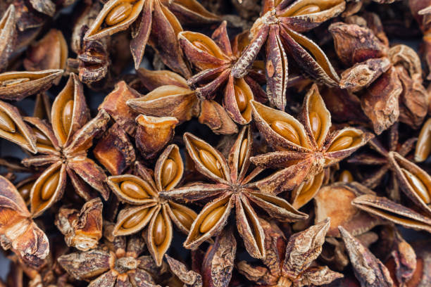 istock star anise close up on top view. 1227189843