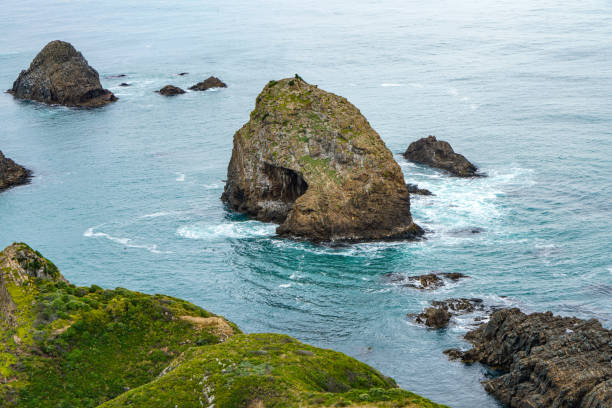 Catlins, New Zealand.