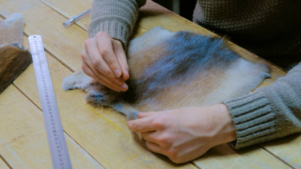 istock Skinner working with mink fur skin 1227191096
