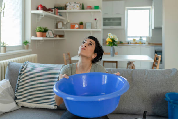 istock Leaks in the Living Room 1227191445