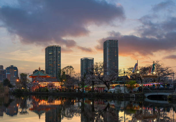 Sunset view of Bentendo temple reflected in the pond of Ueno park. tokyo, japan - march 30 2020: Sunset view of cherry blossom trees reflected in the pond of Kaneiji Temple with the illuminated octagonal Shinobazunoike Bentendo hall and skyscrapers of Ueno in Tokyo. shinobazu pond stock pictures, royalty-free photos & images