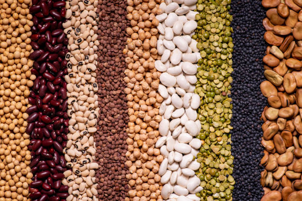 istock Mediterranean diet, colored dried legumes 1227193568