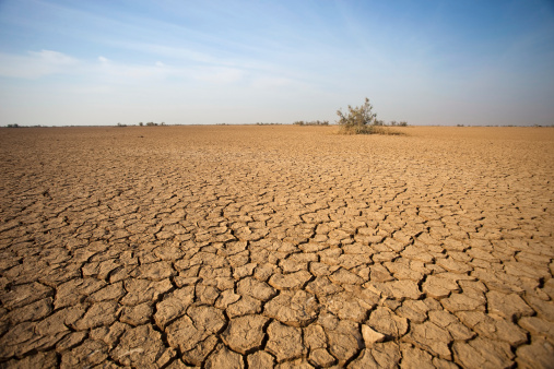 Desert In Gujarat, India