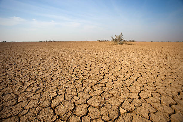 The Desert Desert In Gujarat, India drought stock pictures, royalty-free photos & images