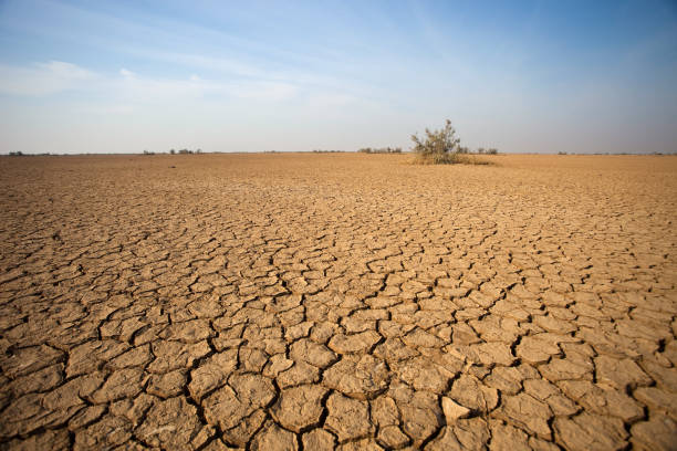 o deserto - dry - fotografias e filmes do acervo