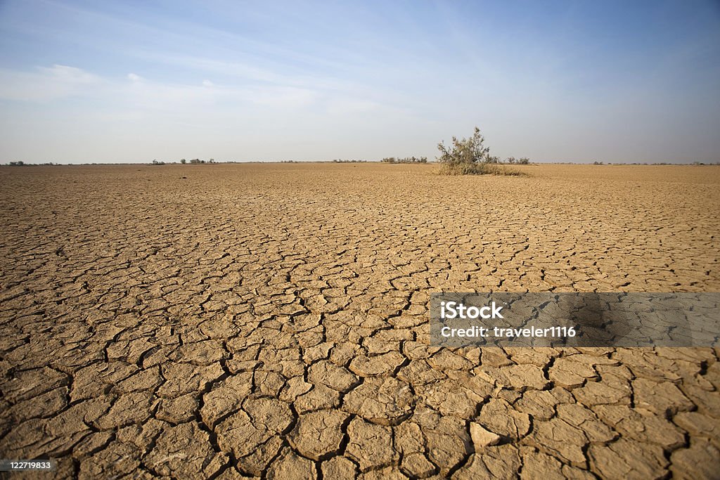 В Desert - Стоковые фото Засуха роялти-фри