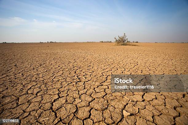 В Desert — стоковые фотографии и другие картинки Засуха - Засуха, Засушливый климат, Сухой