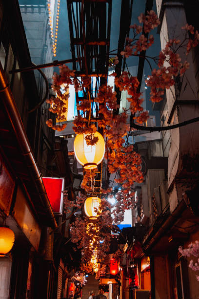 Nightlife in Shinjuku