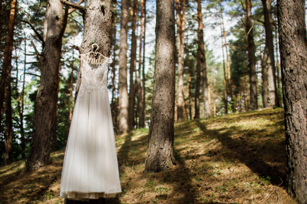 istock Wedding Photography: Lace Wedding Dress Hanging from an Evergreen 1227200254