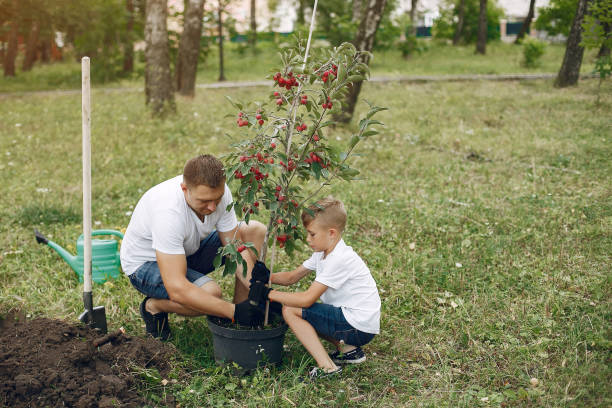 istock Father with little son are planting a tree on a yard 1227203183