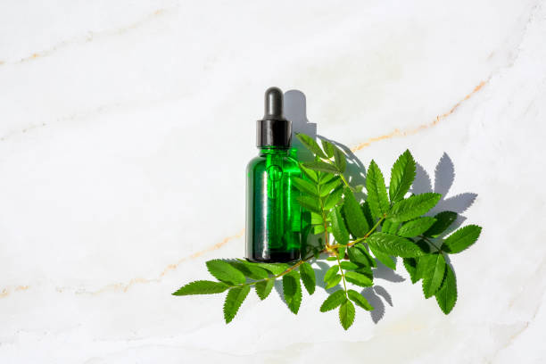 istock Serum with herbal extracts for skincare. Flat Lay minimalism 1227205825